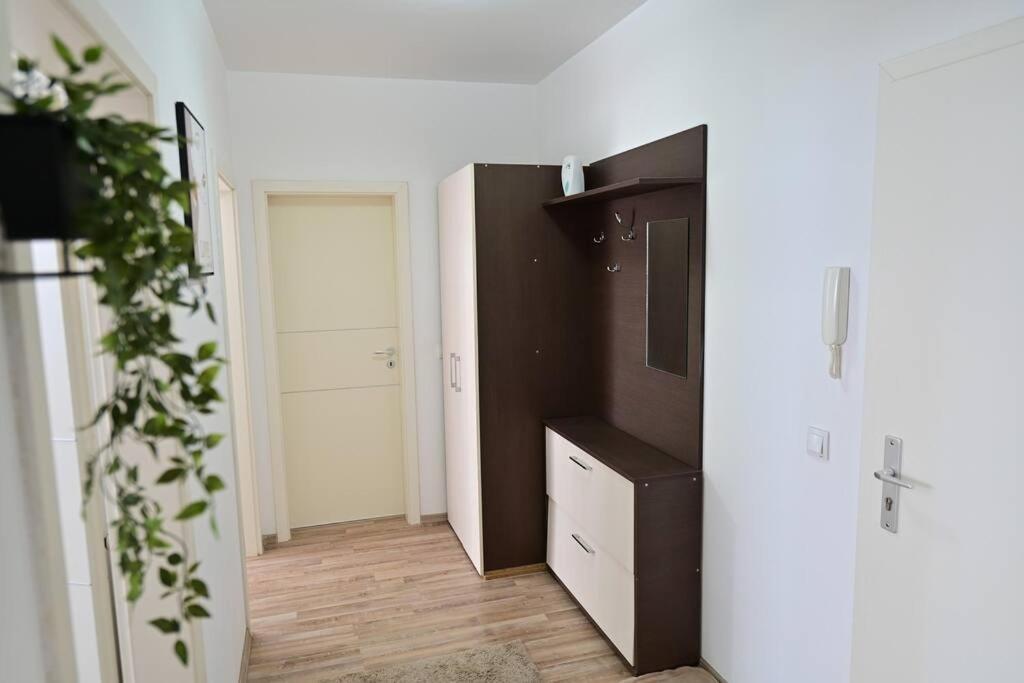 Apartment Alexandra Şelimbăr Zewnętrze zdjęcie