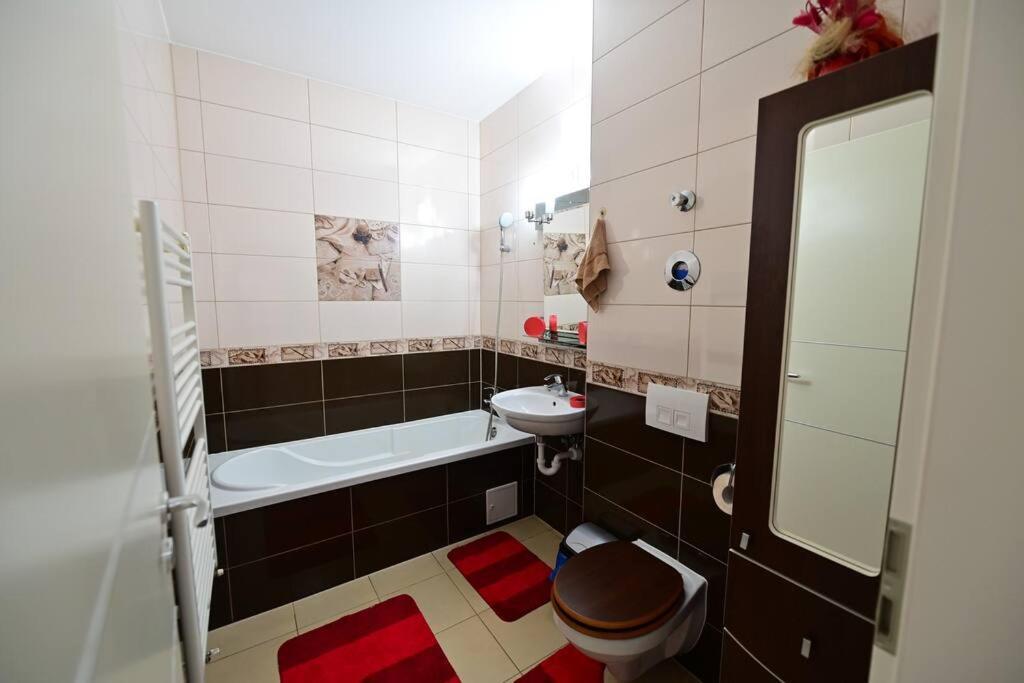 Apartment Alexandra Şelimbăr Zewnętrze zdjęcie