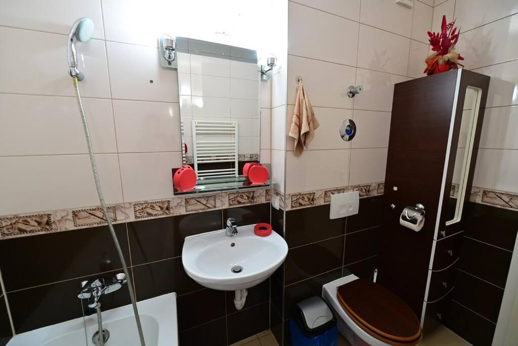 Apartment Alexandra Şelimbăr Zewnętrze zdjęcie