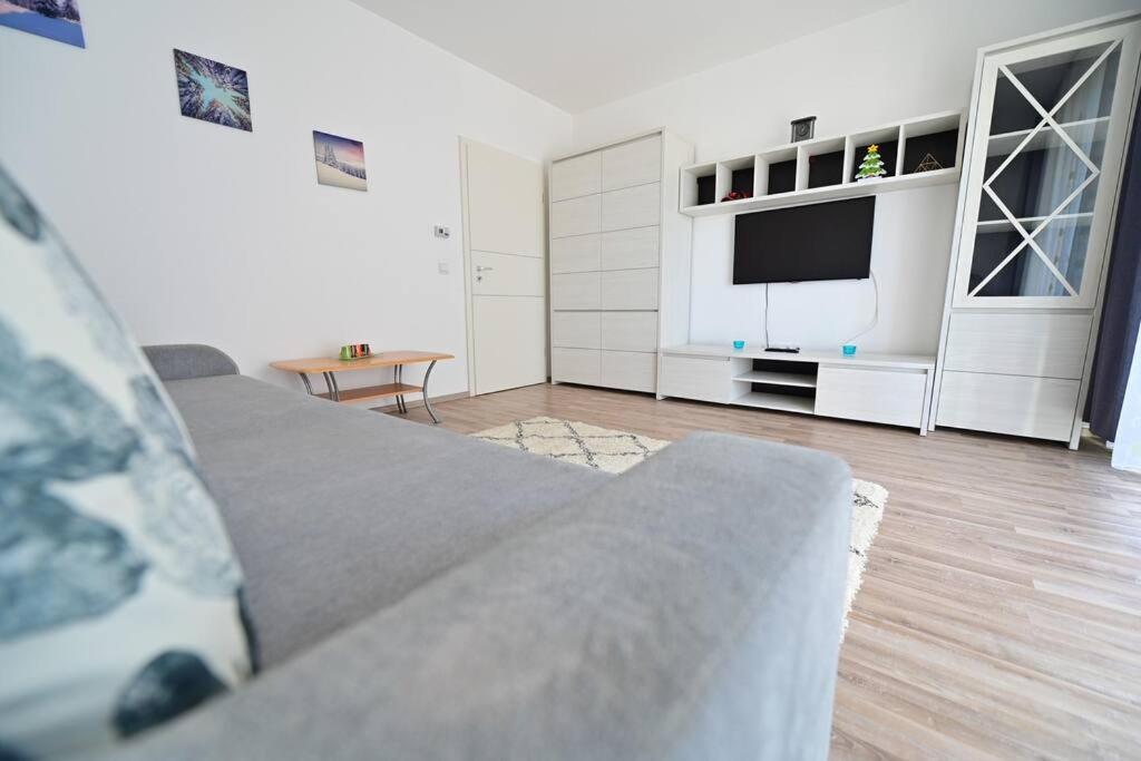 Apartment Alexandra Şelimbăr Zewnętrze zdjęcie