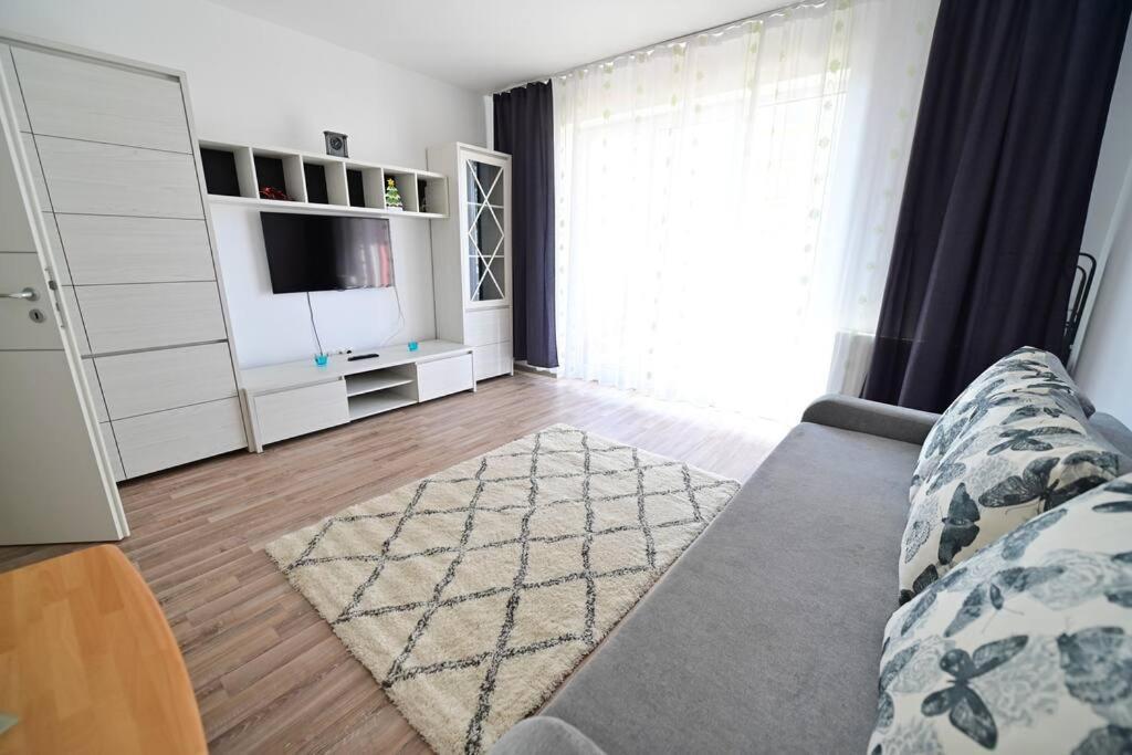 Apartment Alexandra Şelimbăr Zewnętrze zdjęcie